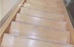 【钱酱】棋牌室桌底下虐欠债狗 JS250609-38