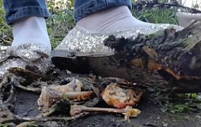 【大美】芭蕾鞋踩残羹剩饭 YC-241206-5