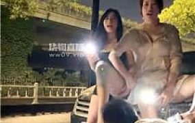 【琴月】双S-深夜雨天遛狗场 bf55949