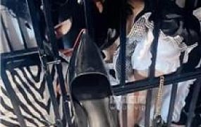 【倪小主】狗笼囚禁母畜 JS250725-42