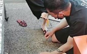 【文文文文】KTV-陪酒小妹暴揍我-喂食 bf55992