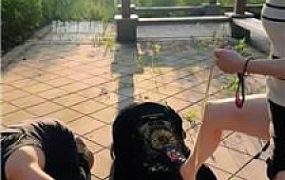 【伊晨】双S双M-户外遛狗-清理脏鞋白棉袜 bf55560