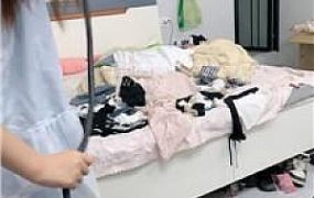 【谰谰】可爱小主-白袜脚踩-鞭打 JS250830-39