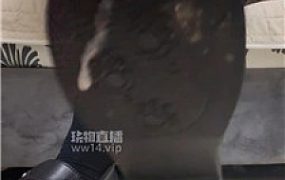 【白渝】司马场    250911-2