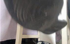 【咬猫】cnm血祭nmb    251003-33