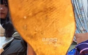 【狮子丸】凉拖羞辱场    251001-20