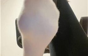 【姜姜】无尽谩骂    251001-8