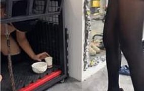 【艾斯】双S-黑丝高跟踩-骑马骑脖 JS250928-43