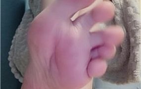 【咬猫】司马畜生大孝子    251016-30