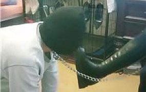 【梦琪】圈养狗笼-长靴踩 JS251023-36