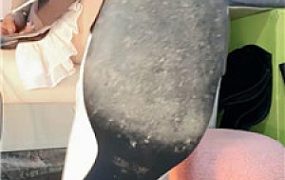【苒苒】疯狂炸J    251023-16