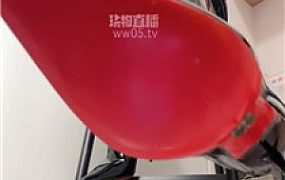 【夏夏】长靴黑丝巨人视角辱狗爆骂洗脑寸止    251107-41