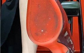 【白鸽】乳母场    251011-4