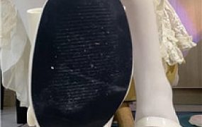 【柠萌小主】猜拳持久训练    251120-23