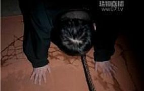 【戚戚】户外遛狗犬化 JS251121-27