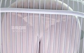 【小璃】美臀欣赏    251117-31