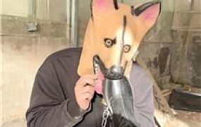 【77夫妻】户外训化人形犬 JS251119-1