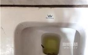 【77夫妻】踩了公厕的鞋让狗舔 JS251111-6
