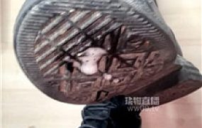 【咬猫】给站街小姐当狗    251203-25
