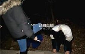 【奈米】双主户外停场玩贱畜 bf59477