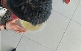 【魅影】高跟长靴碾压踩虐乳 JS251128-12