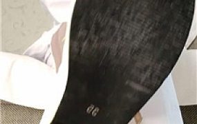 【子衿】护士治疗阳伟患者上    251214-34