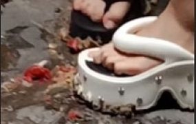 【端午节福利】小太妹双人子拖踩蛋黄派圣女果 YC-250531-5