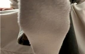 【杪杪】绿帽辱妻    260106-11