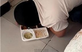 【小软】脚下喂食场 JS260119-5