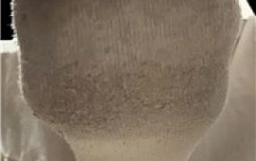 【杪杪】羞辱贡猪吐钱    260116-13