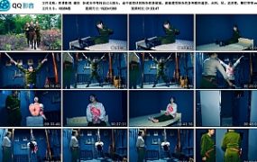 【胜景影视】潜伏