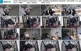 【面具男】混血伪娘由于上次没有完成任务，作为惩罚！