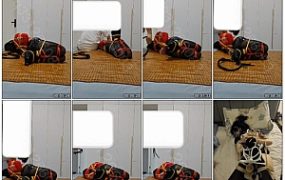 【欢乐谷】一名银行职员的三次捆绑调教