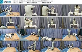 【飞天原创】艺仙儿奴性升级，吊缚y具口球电击gc喷射,犬缚爬行完任务