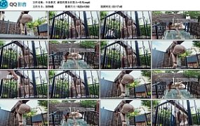 【半岛束艺】澡堂的第五位客人~布玛