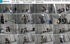 【面具男】不可休息电刑！K9责罚！