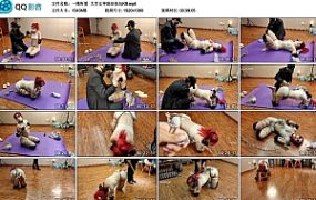 【一绳所爱】大学女神陈依依玩K9