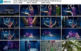 【胜景影视】决战时刻 下集