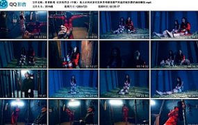 【胜景影视】红岩英烈 2（中集）