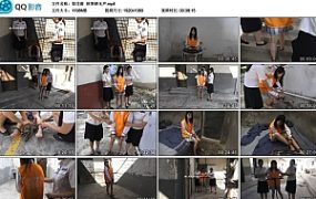 【梨花雨】秋寒蝉无声