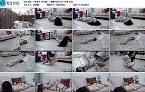 【半岛束艺】春天到了，蝴蝶开始乱飞了~萨蒂