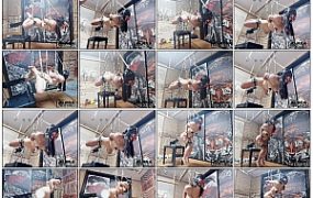 【缚心室】大胸小美女的吊缚折磨！两种姿势的吊缚，郊狼直接开到100，吸乳+炮击+AV棒..