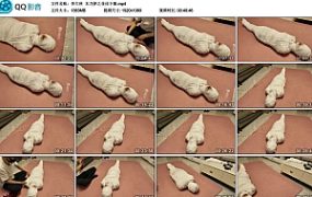 【李大侠】木乃伊之佳佳下集