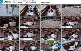 【半岛束艺】半岛新家具试运行~卡菲