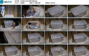 【小羽原创】定拍小琦箱子囚禁