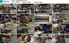 【灰太狼】男娘的绞刑处决