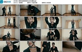 【撒琅制造】谍战II重制无水印无删版