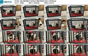 【涵涵】K9狗笼调教 开口器+流口水+镣铐+铁链固定+黑丝+丁字裤+SP