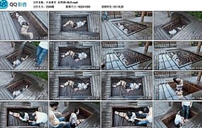 【半岛束艺】水帘洞~海语