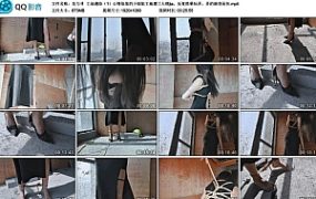 【花与寻】工地遇险（1）心情低落的小姐姐工地遭工人绑jia，反复捂晕玩弄，弄的满身是灰